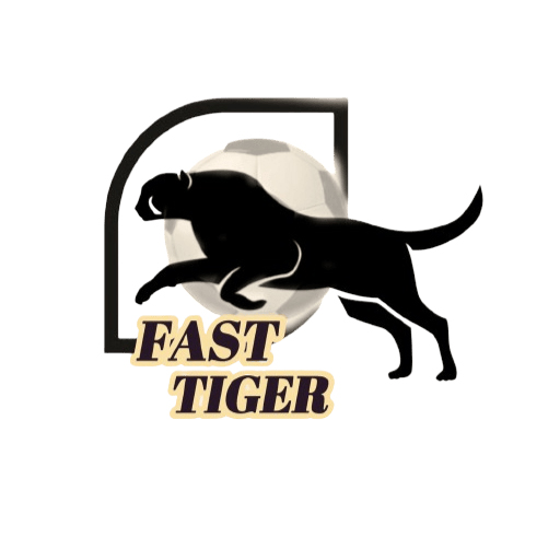 فاست تايقر